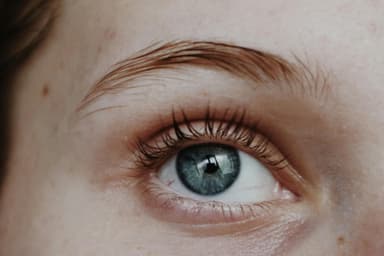 Teinture des sourcils + épilation
